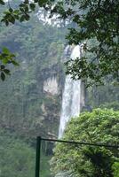 background photo of a waterfall in the forest