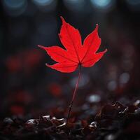 AI generated Ai create Red leaf background photo