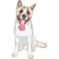 vector sketch dog Akita breed smiles