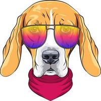 vector hipster grave perro beagle en lentes