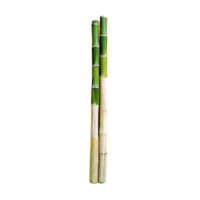 AI generated Bamboo sticks used for skewering food with selective isolated on transparent background png