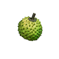 AI generated Soursop fruit isolated on transparent background png