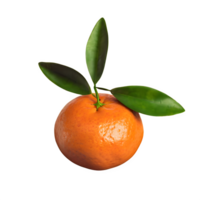 ai gegenereerd mandarijn fruit geïsoleerd Aan transparant achtergrond png