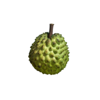 ai generiert Soursop Obst isoliert auf transparent Hintergrund png