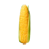 AI generated Fresh raw corn isolated on transparent background png