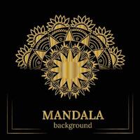 golden mandala design vector