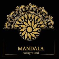 golden mandala design vector