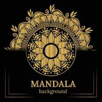 golden mandala design vector