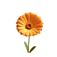 ai genererad calendula isolerat på transparent bakgrund png