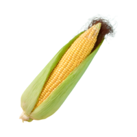 AI generated Fresh raw corn isolated on transparent background png