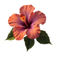 AI generated Sunset hibiscus flower isolated on transparent background png