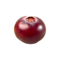 ai generiert Cranberry isoliert auf transparent Hintergrund png