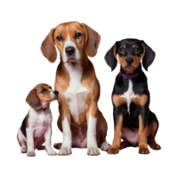 ai généré beagle chiot et miniature pinschers dans de face de transparent Contexte isolé png