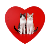 AI generated Transparent background with two cats and a red heart isolated png