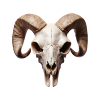 AI generated Transparent background with a horned sheep skull head isolated png