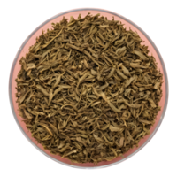 AI generated Top view of muira puama herbal tea on transparent background made from dry tea png