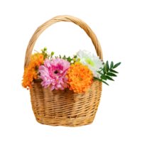 ai generado Fresco atractivo flores en mimbre cesta aislado en transparente antecedentes png
