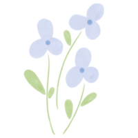 fofa azul aguarela flores, grampo arte png