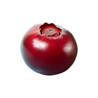 ai generiert Cranberry isoliert auf transparent Hintergrund png