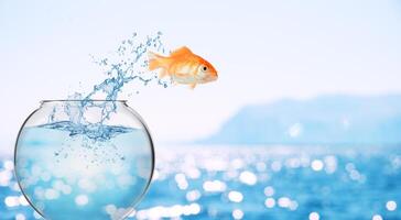 Goldfish leaps out of the aquarium to throw itself into the sea photo