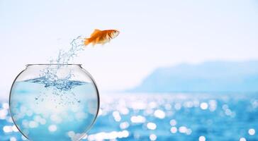 Goldfish leaps out of the aquarium to throw itself into the sea photo