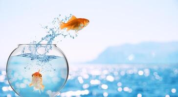 Goldfish leaps out of the aquarium to throw itself into the sea photo