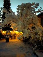 el reloj de sol en el cubierto de nieve jardín después el noche nevada en digital pintura estilo foto