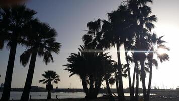 Walking in the center and on one of the island's beaches. photo