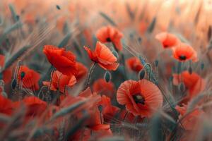 AI generated Beautiful Poppies flowers summer landscape - field full of red Poppies flowers, AI Generated photo