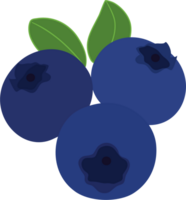 blueberry cartoon clipart png