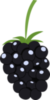 blackberry cartoon clipart png
