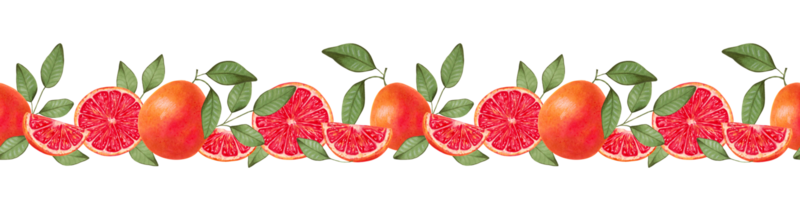 Seamless horizontal grapefruit border. Whole and sliced fruit with natural product leaves for decoration. Watercolor illustration. Citrus healthy food for vegans. Vitamin C.Hand drawing isolated. png