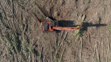 Aerial Videw of Deforestation video