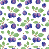 Seamless fruit pattern of purple plums with leaves.Botanical illustration with markers and watercolour.Background of plum fruits for the design of food packaging, tablecloths. Hand drawn illustration. png