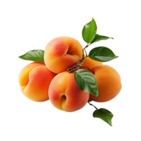 ai generiert Aprikose, Aprikose Frucht, Aprikose Obst png, Aprikose, Aprikose Frucht, Aprikose mit transparent Hintergrund png