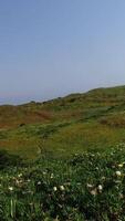 antenne video van mooi natuur van Portugal