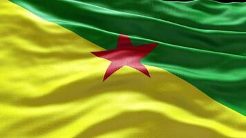 4k rendre français Guyane drapeau vidéo agitant dans vent français Guyane drapeau vague boucle w video