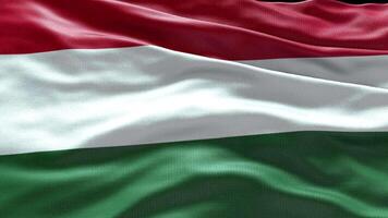 4k render Hungria bandeira vídeo acenando dentro vento Hungria bandeira onda ciclo acenando dentro ganhar video