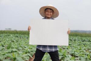 Handsome Asian man farmer holds blank paper poster at vegetables garden. Concept, Agriculture occupation. Copy space for adding text or advetisement. Happy farmer. photo