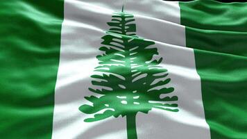 4k rendre Norfolk île drapeau vidéo agitant dans vent Norfolk île drapeau vague boucle video