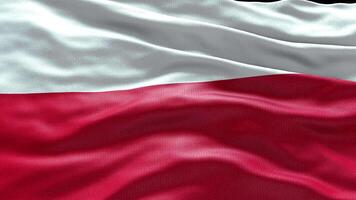 4k render Poland Flag video waving in wind Poland Flag Wave Loop waving in wind