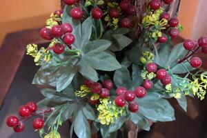 Plant leaves and flowers in Pakistan on 2023-12-12 photo