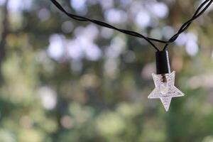 Attractive view of the Single  Small Christmas Star in the Outdoor photo