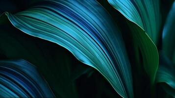 ai generado un brillante azul y verde tropical bosque planta, spathiphyllum cannifolium, es detalladamente desplegado en contra un oscuro natural antecedentes para un botánico y resumen fondo de pantalla. foto