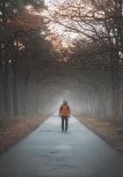 Traveller walks along a road in the morning mist in the Grenspark Kalmthoutse Heide near Antwerp in northwest Belgium photo