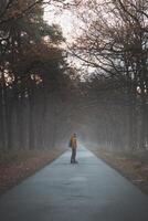 Traveller walks along a road in the morning mist in the Grenspark Kalmthoutse Heide near Antwerp in northwest Belgium photo