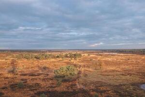 Panoramic view of the Belgian wildlife at Grenspark Kalmthoutse Heide near Antwerp in northwest Belgium photo