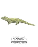 Hylonomus, the oldest reptile without any doubt, vector