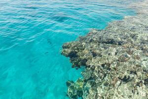 desagüe arrecife en el rojo mar con corales foto