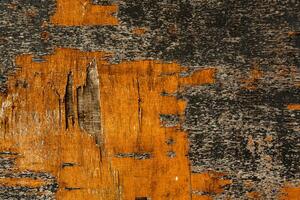 Gray old dry vined vintage wood plywood background photo